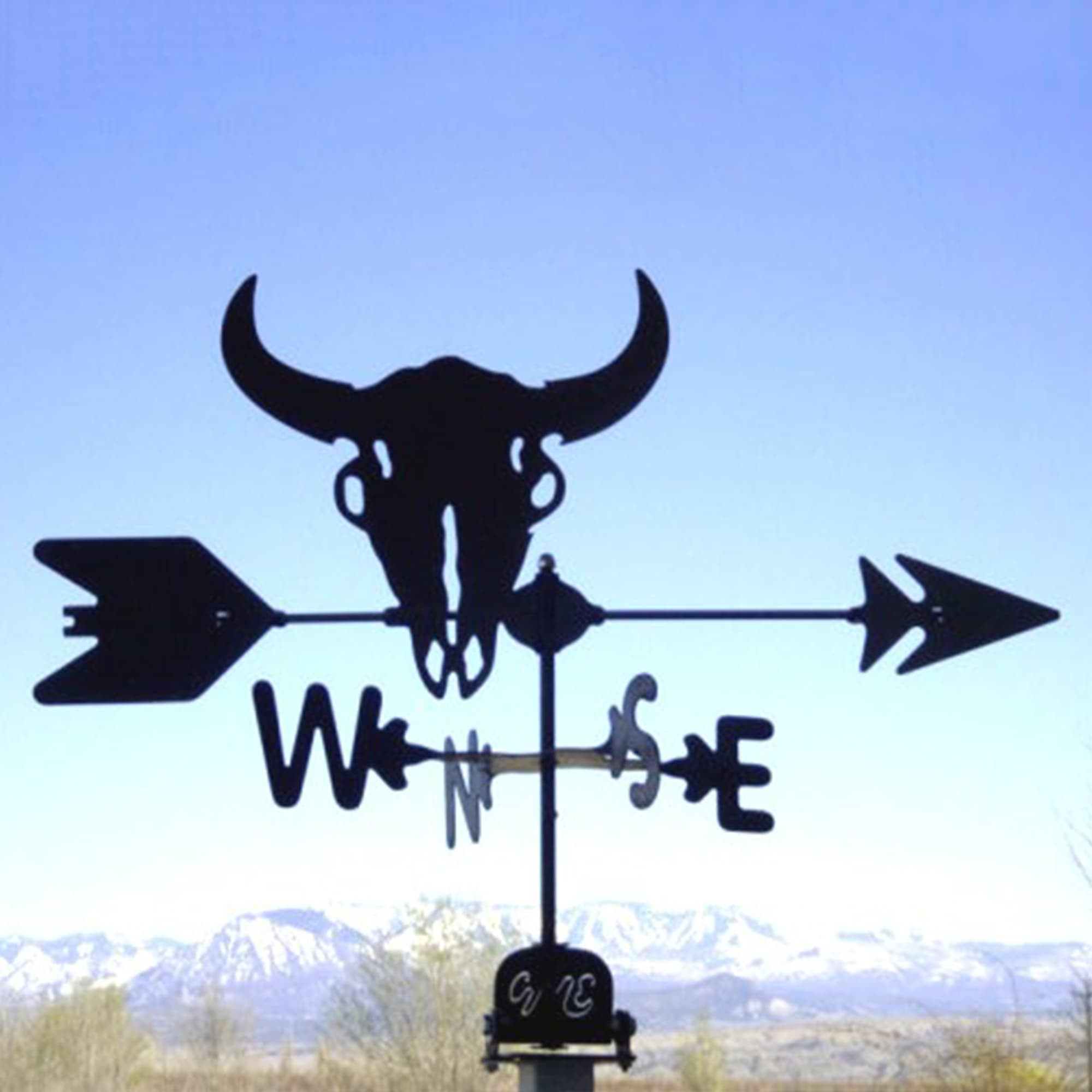 Buffalo Skull Black Steel Weathervane