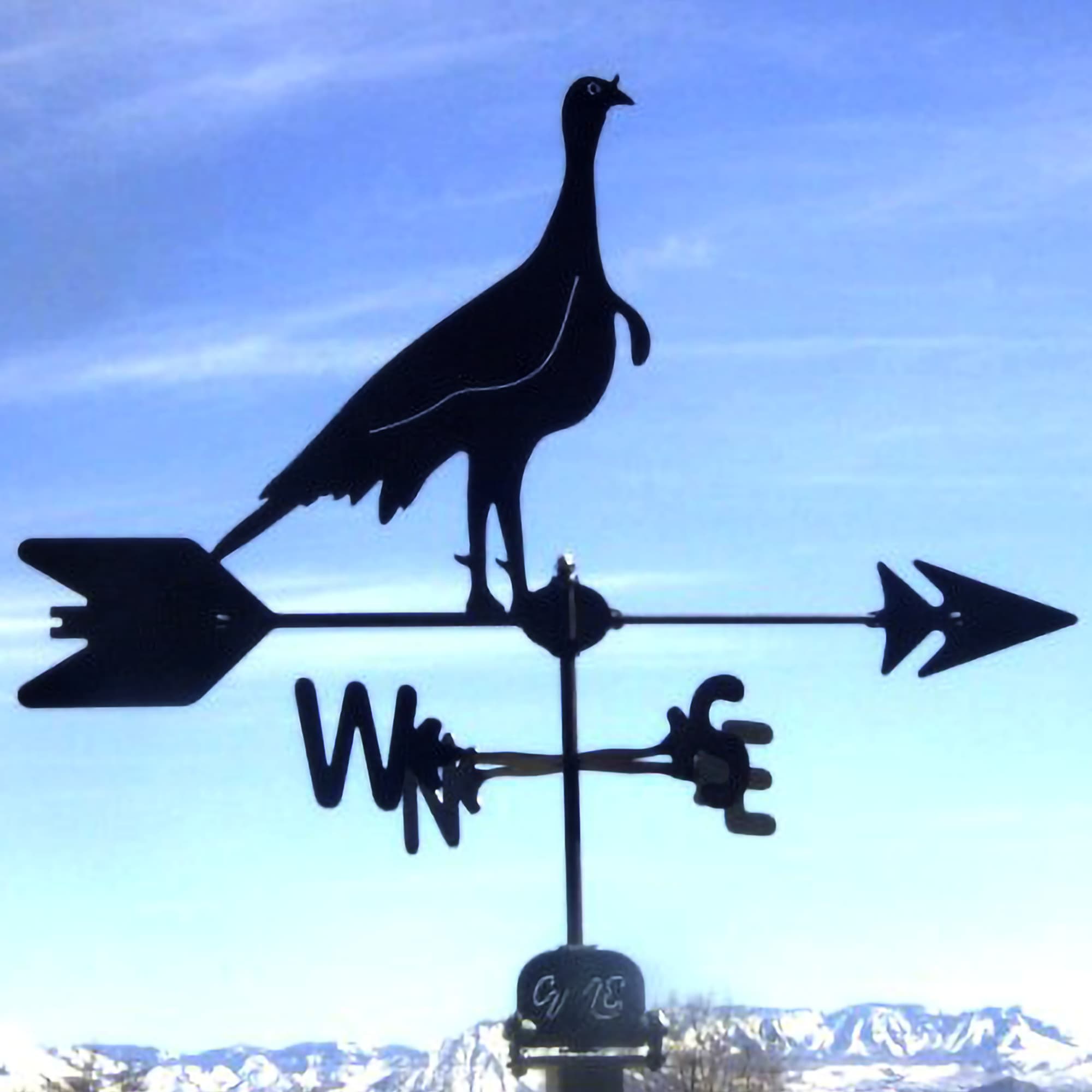 Bearded Turkey Black Steel Weathervane