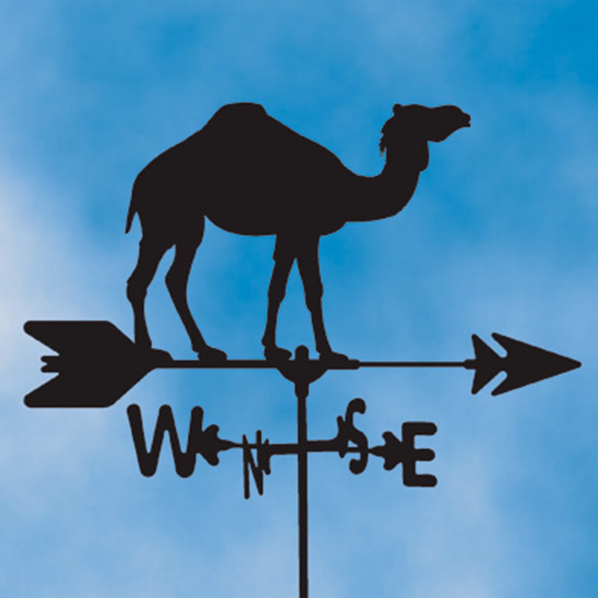 Camel Black Steel Weathervane