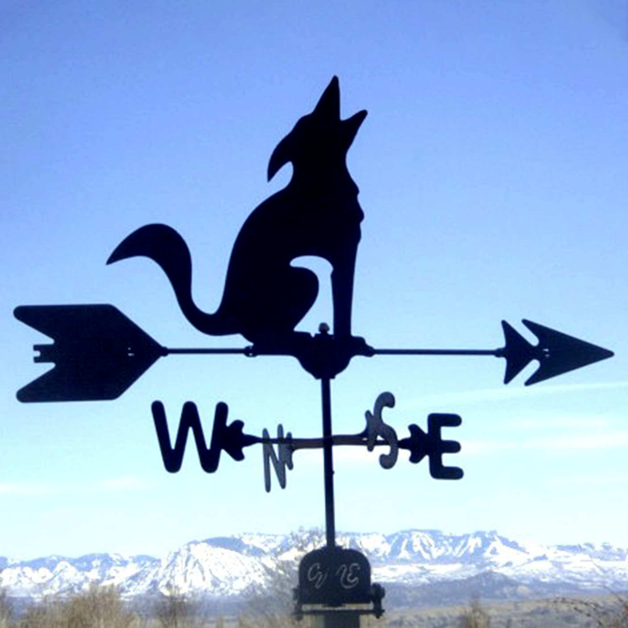 Coyote Black Steel Weathervane