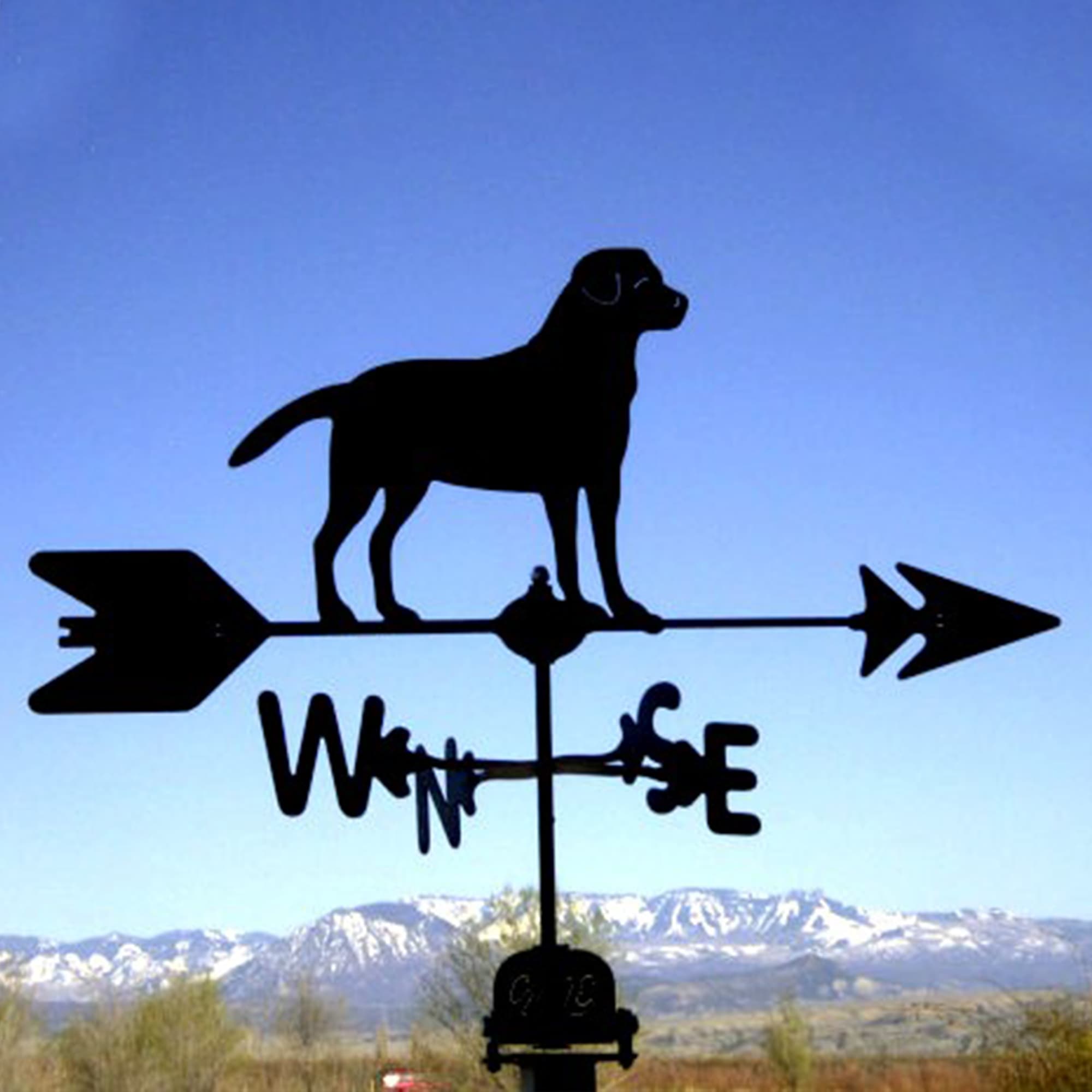 Lab Black Steel Weathervane