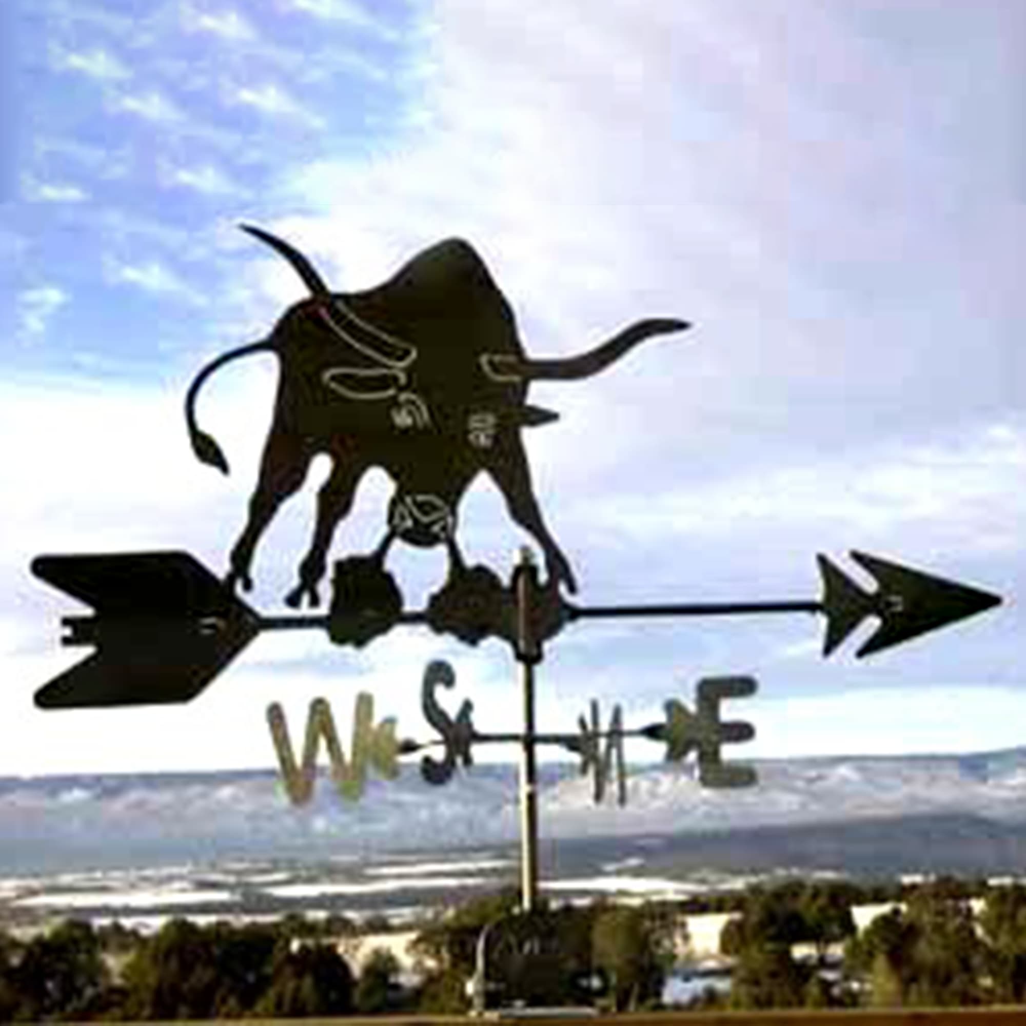 Longhorn Black Steel Weathervane