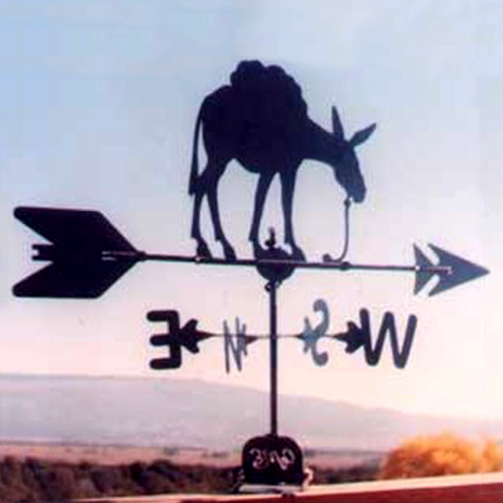 Pack Donkey Black Steel Weathervane