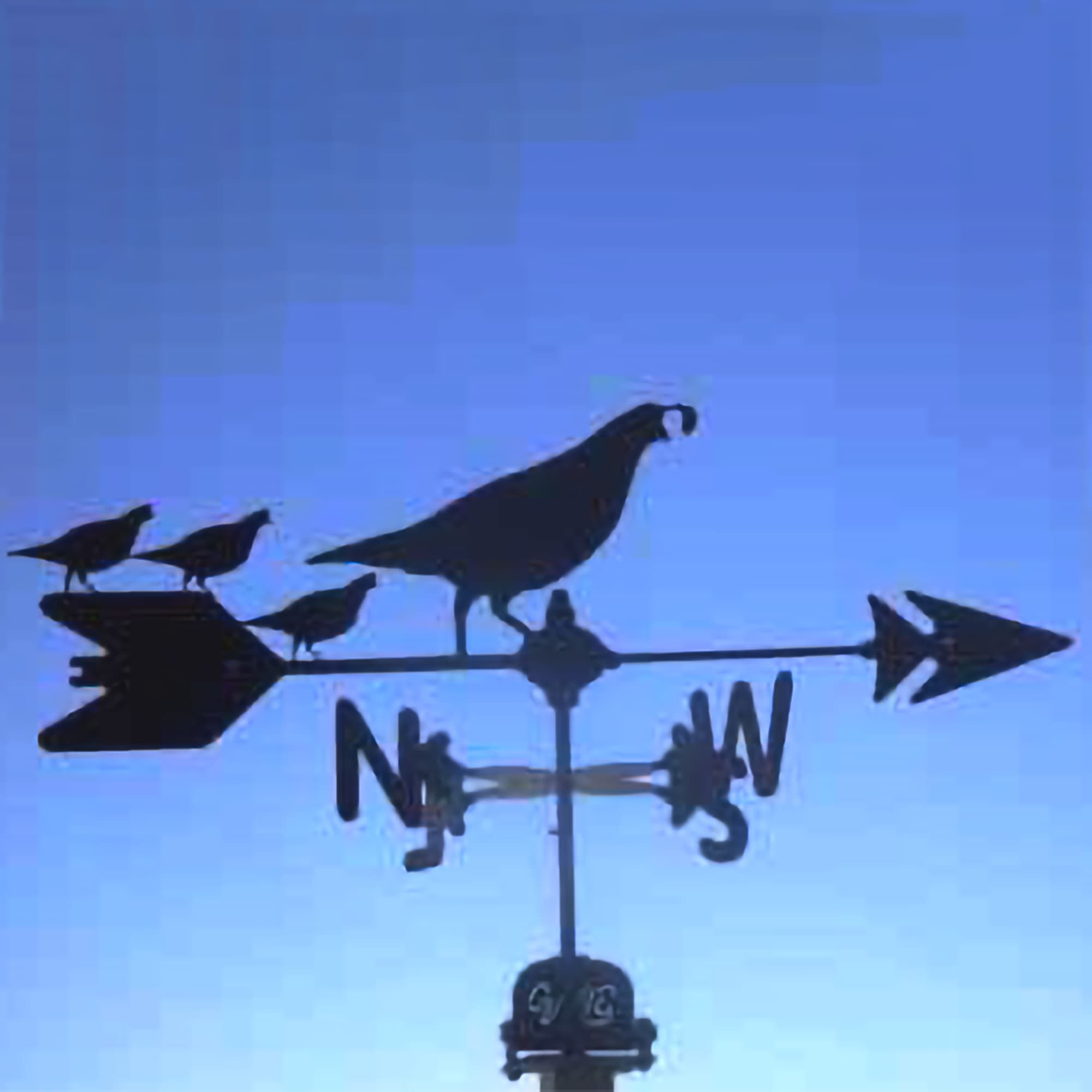 Quail with Chicks Black Steel Weathervane