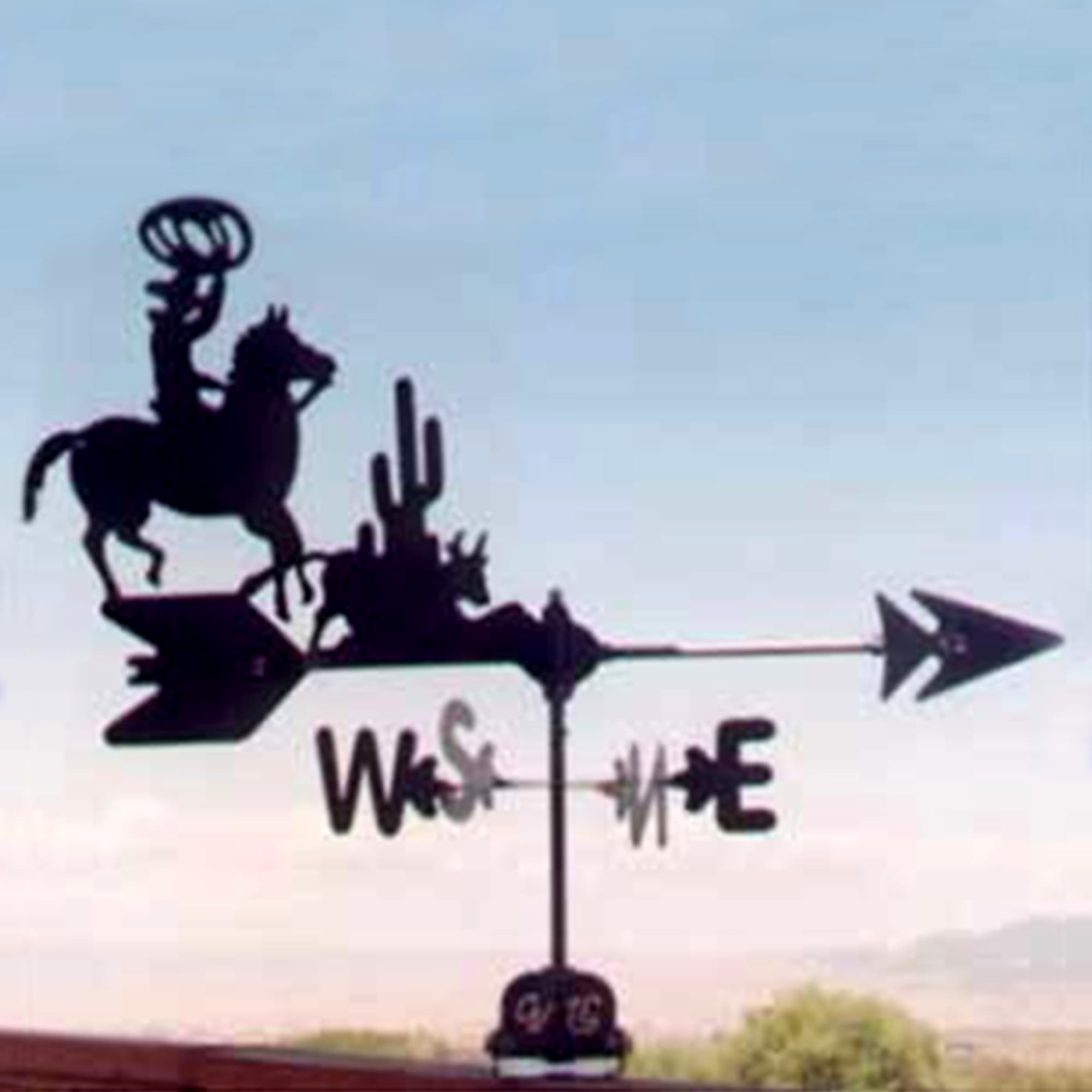 Roping Cowboy and Cactus Black Steel Weathervane