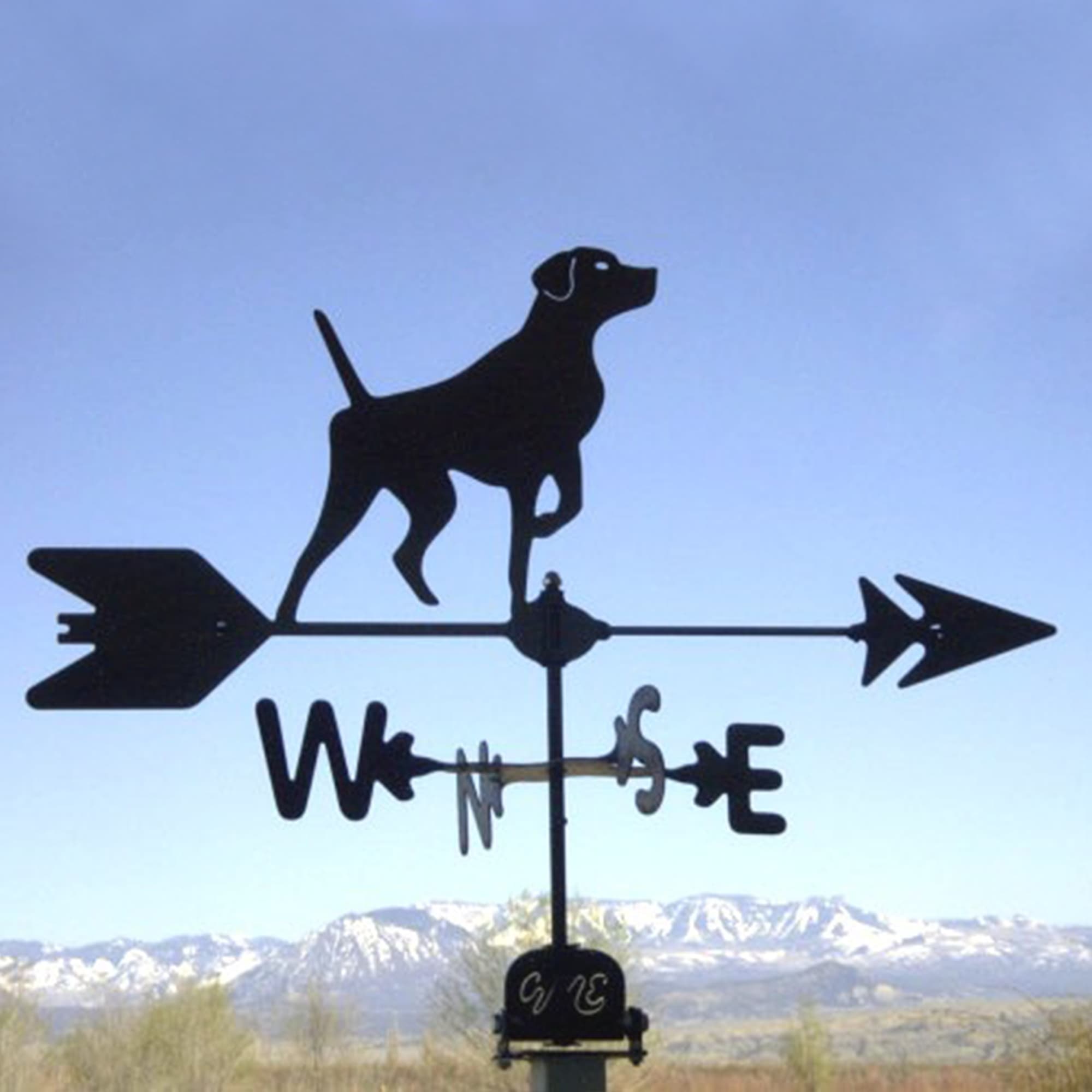 Short Hair Pointer Black Steel Weathervane