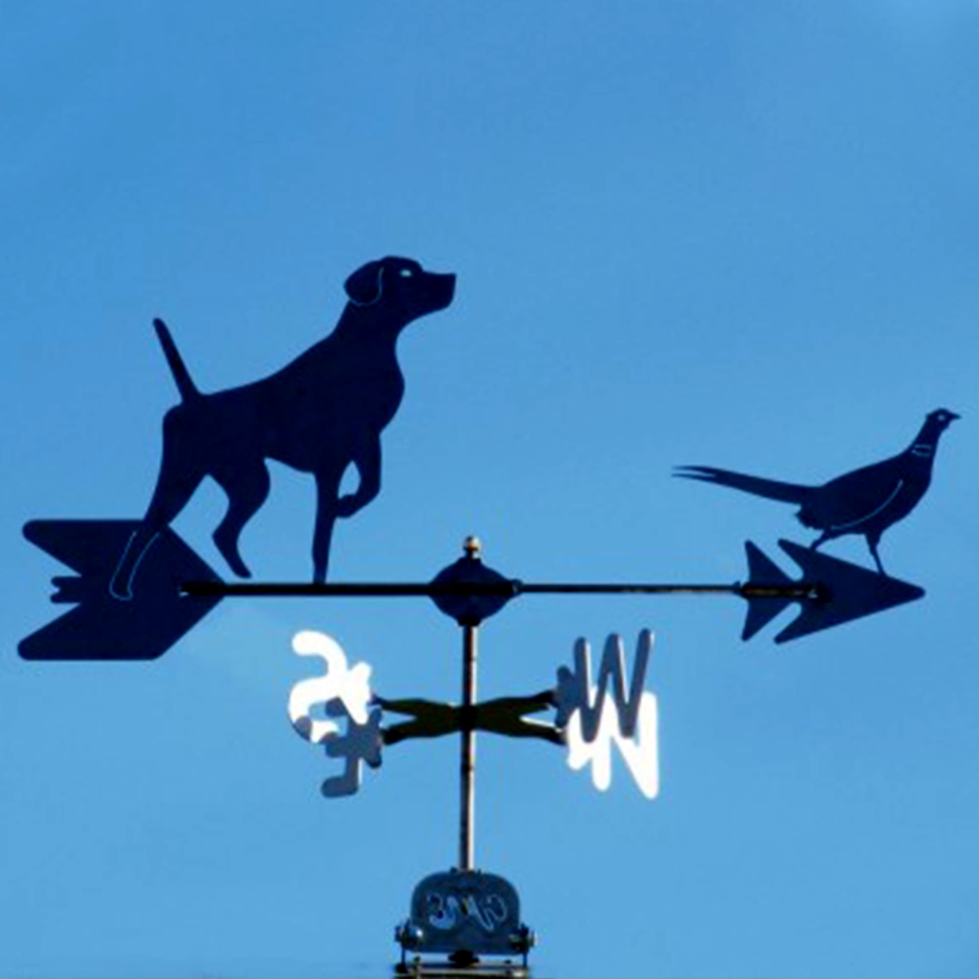 Short Hair Pointer and Pheasant Black Steel Weathervane