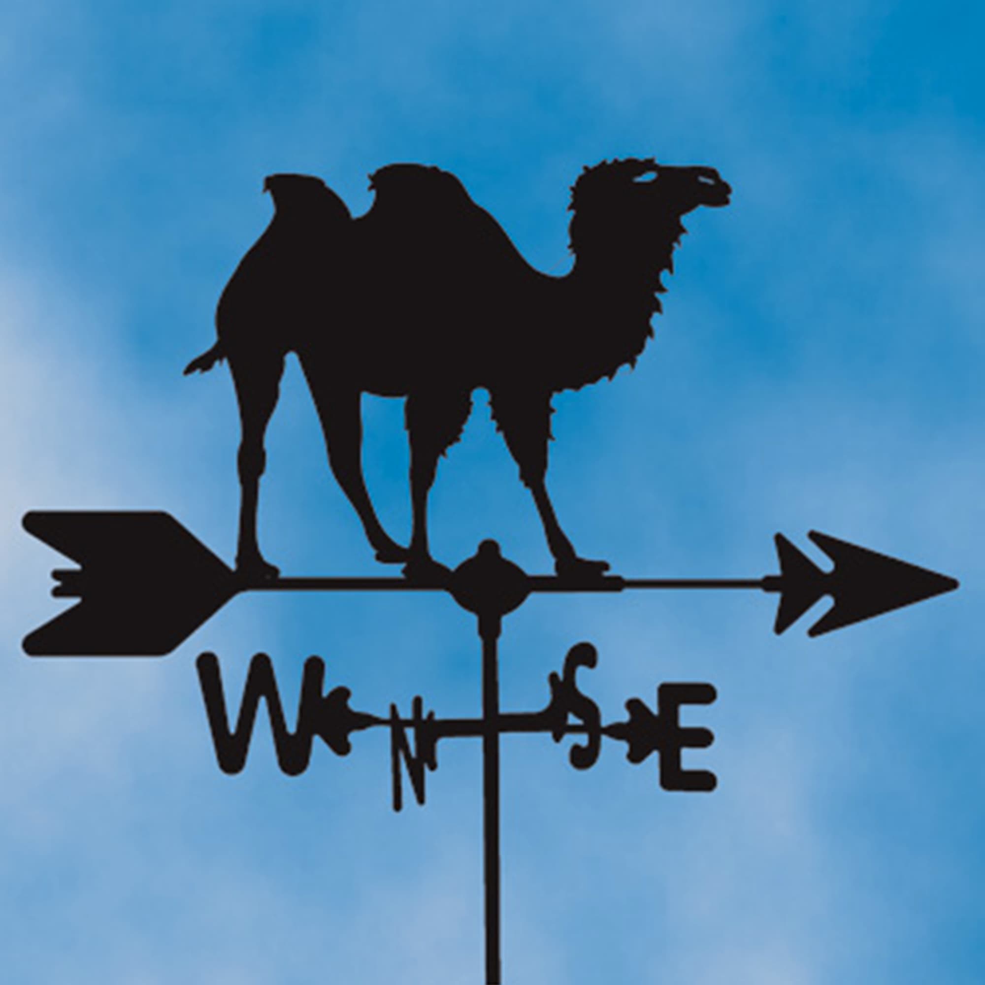 Two Hump Camel Black Steel Weathervane