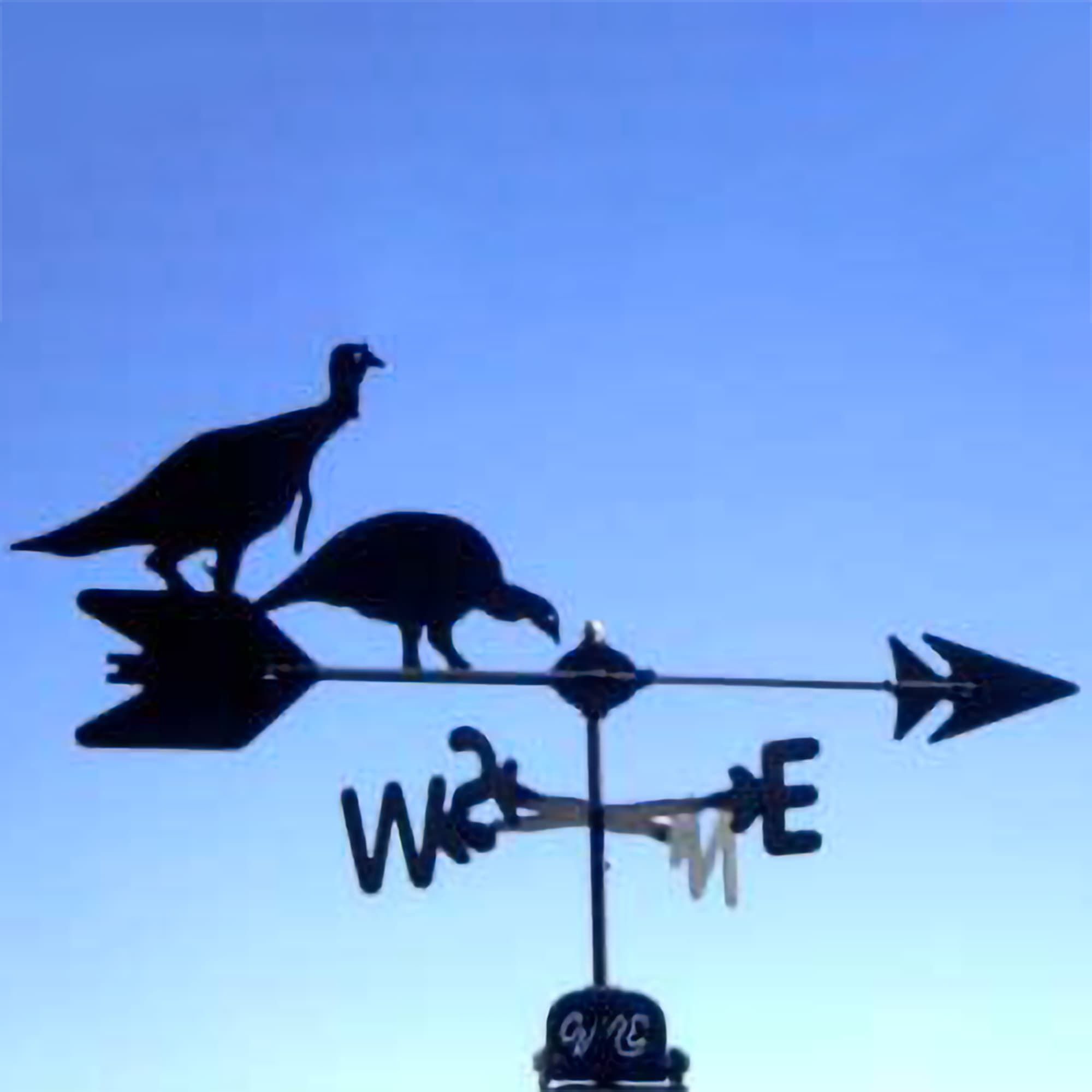 Two Turkeys Black Steel Weathervane